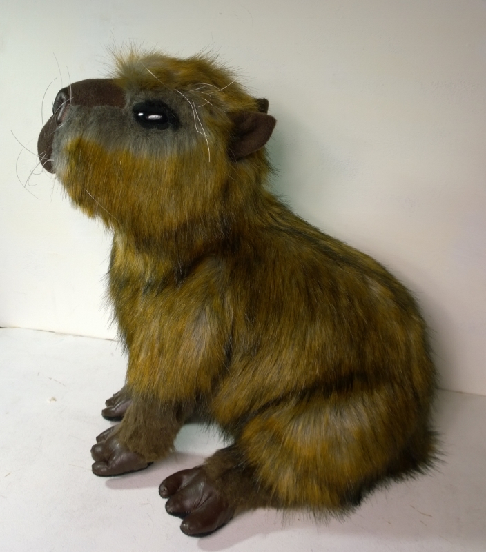 Capybara plush 3