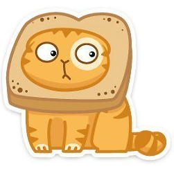 котик персик с хлебом стикер
