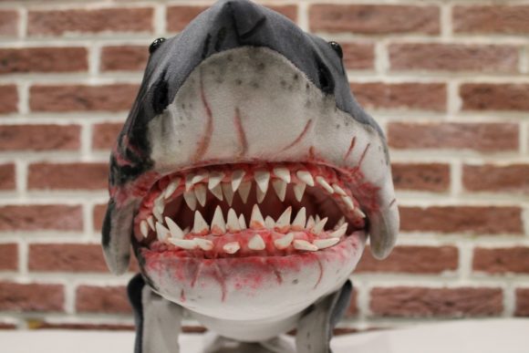 Сомкнутые челюсти: топ-5 самых чудовищных нападений акулы на человека