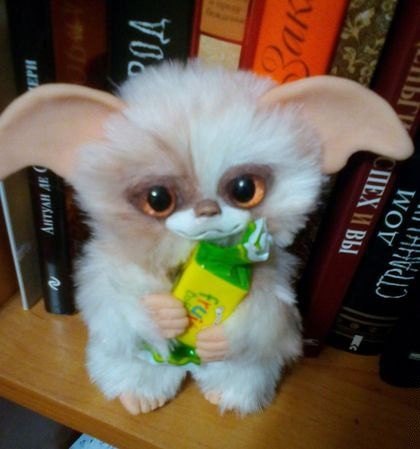 Могвай с зеленой конфетой на книжной полке, игрушка гремлин ручной работы