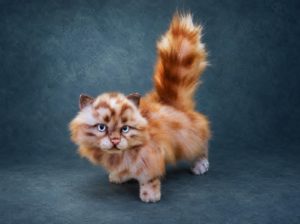 Реалистичная игрушка рыжий котенок
